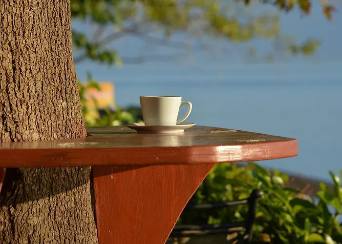 Dimitropoulos * Eleonas