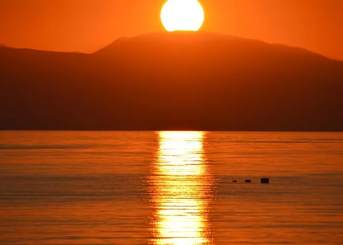 Dimitropoulos Seafront Apartments-Elaionas Beach Near Diakopto 아파트